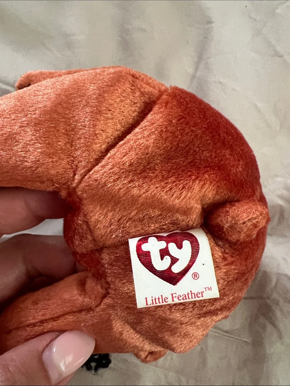 Ty Beanie Babies Little Feather Bear 2004 Plush w/ Tag Protector Thanksgiving